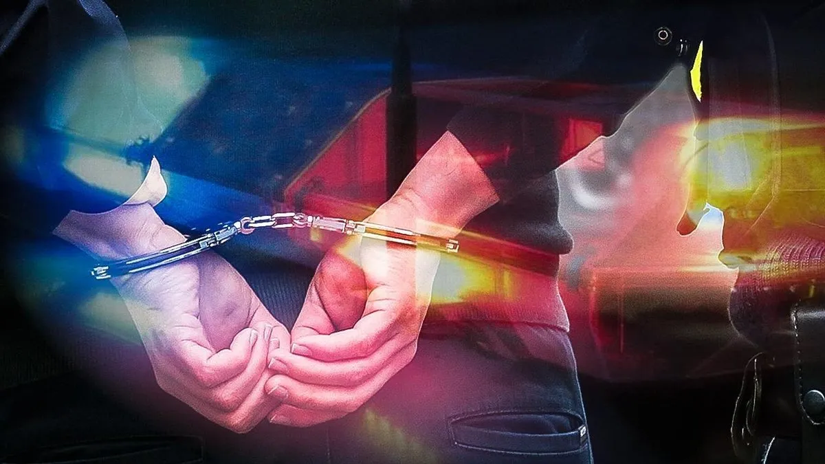 Silah kaçakçılarına 81 ilde operasyon: 2 bin 459 şüpheli hakkında işlem yapıldı