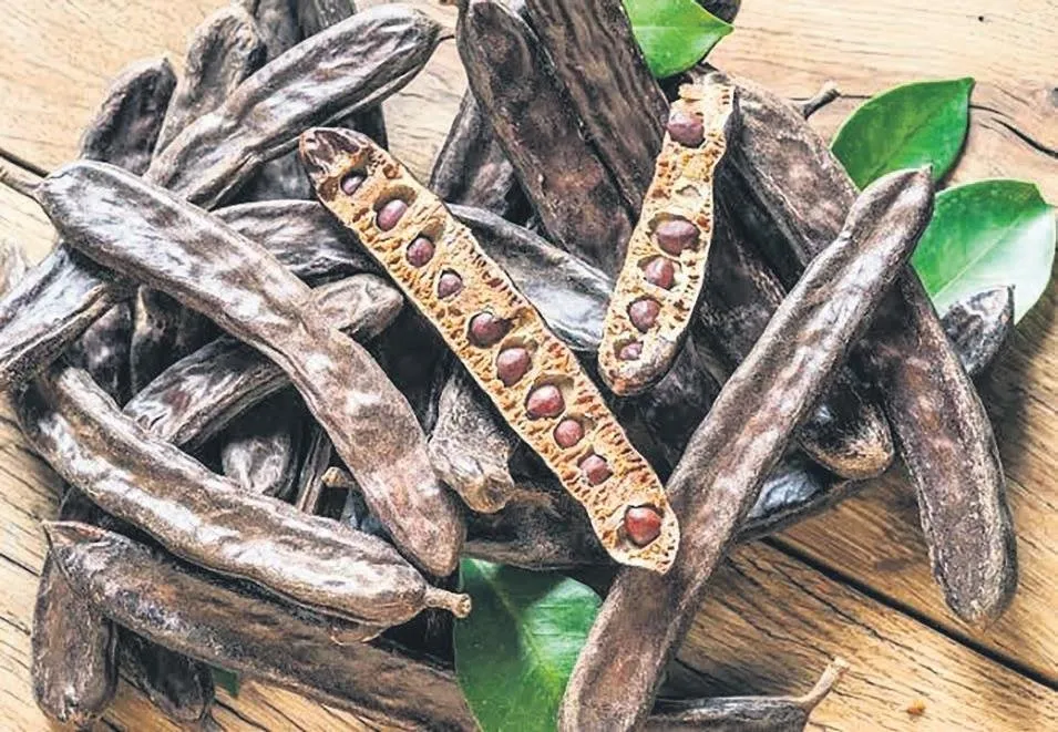 Keçiboynuzundan gelen sağlık