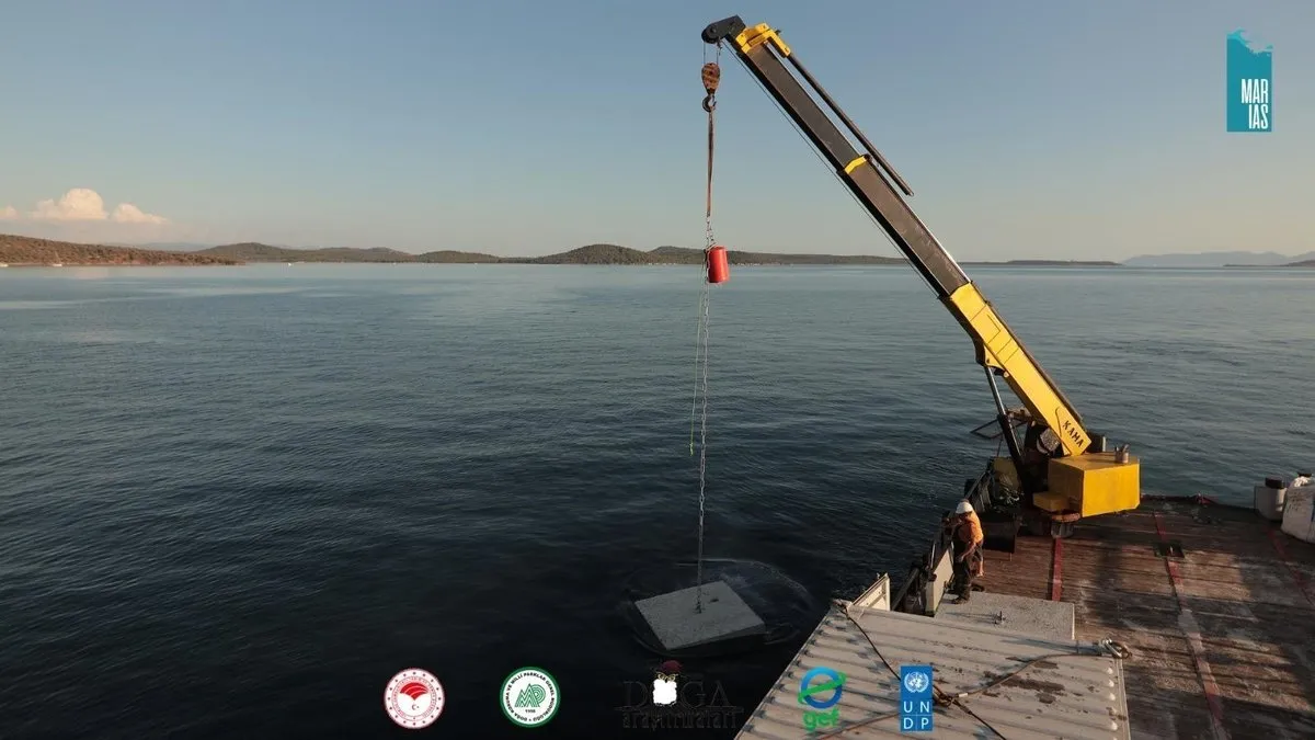 Tekne çapalarına tonozlu önlem