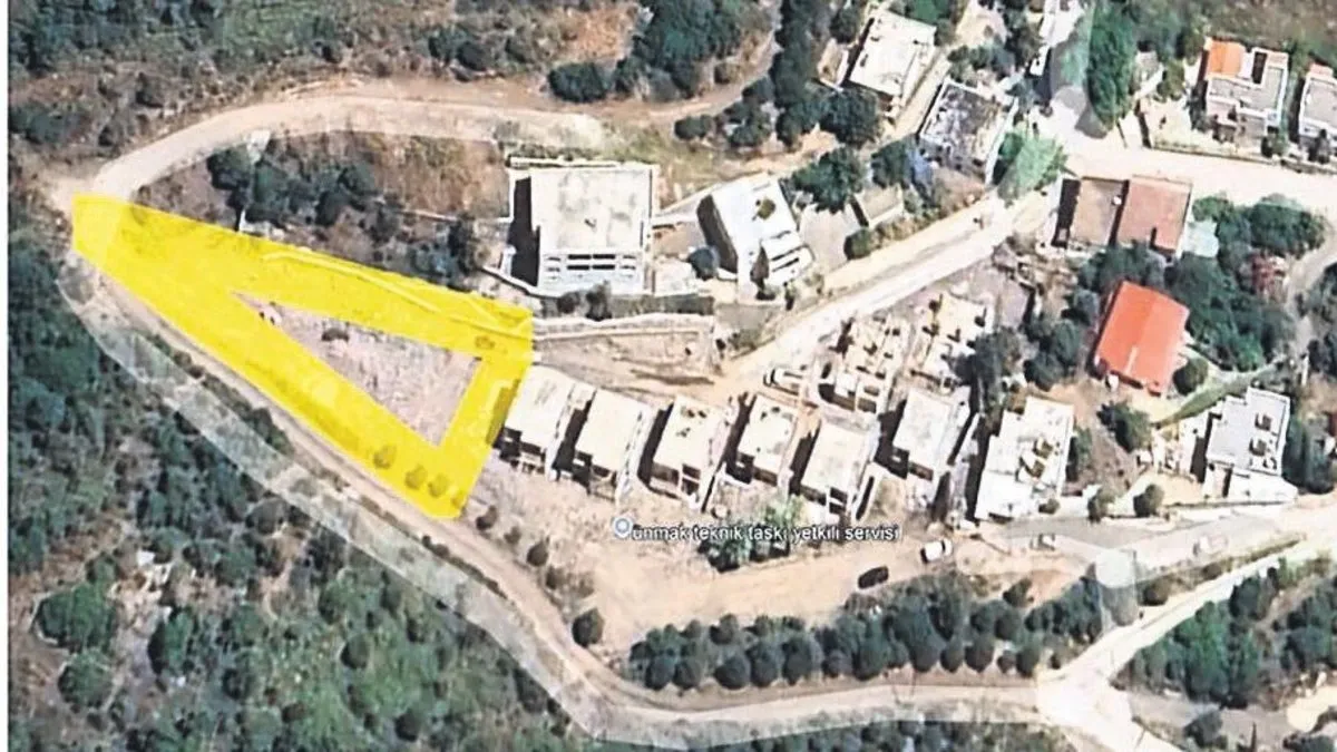 Ağaç katliamı bakanlık tarafından da belgelendi