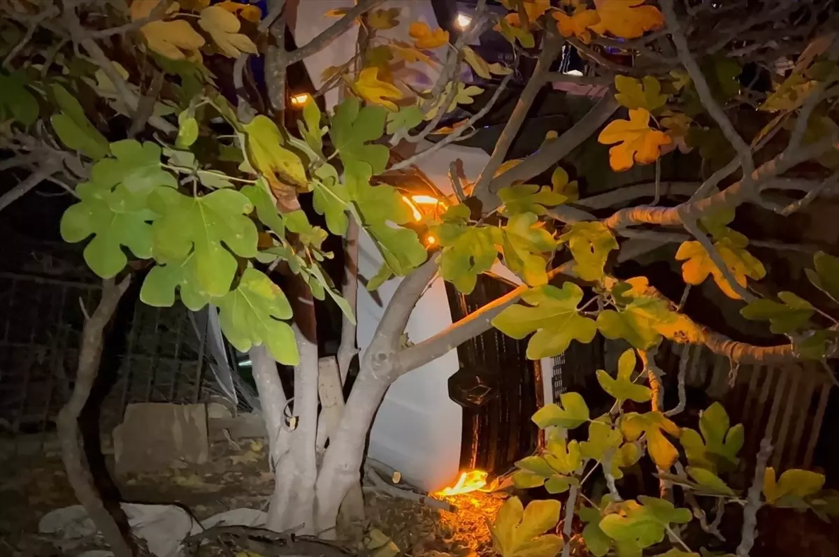 Bodrum’da Devrilen Araçta Yaralı Kurtarıldı